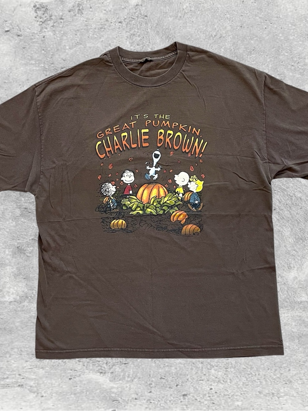 Vtg Peanuts Its The Great Pumpkin Charlie Brown T Shirt 23.75x30 Halloween